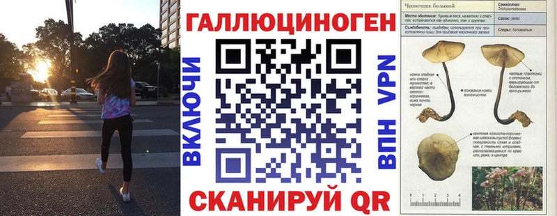 mega как войти  Медынь  Галлюциногенные грибы Magic Shrooms 